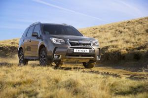 Subaru Forester 2.0XT 2016 года